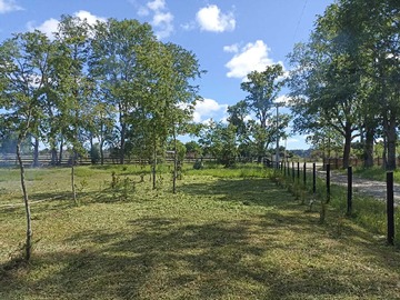 Terreno en venta en Vendo parcela en hacienda toltén de 5000 m2 (119954), Pitrufquén