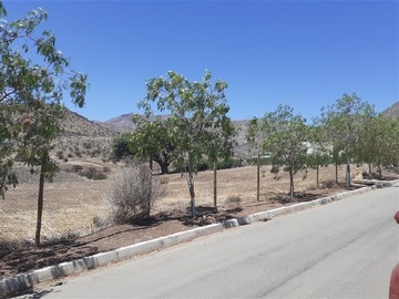 Parcela en venta en Condominio Hacienda Chacabuco, Colina