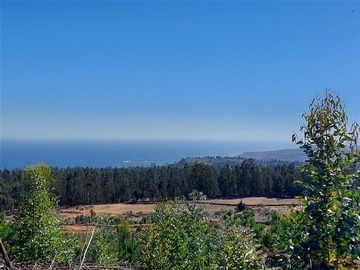 Venta / Parcela / Navidad