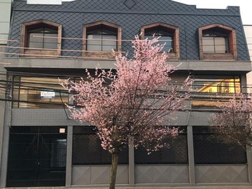Oficina en arriendo mensual en Edificio completo - 3 plantas., Temuco - 7 baños