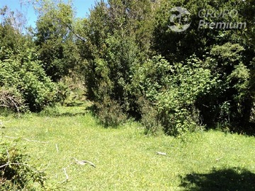 Sitio en venta en Puyehue, Puyehue