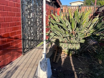 Casa en venta en Casa El Canelo, Maipú (157864), Maipú - 2 dormitorios, 1 baño