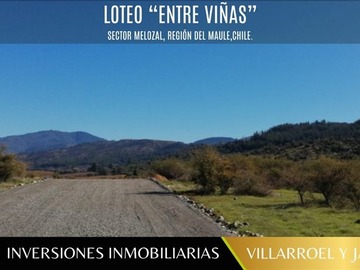 Venta / Parcela / San Javier de Loncomilla