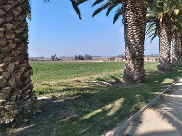 Parcela en venta en Camino Lonquen con Camino Carampangue, Isla de Maipo