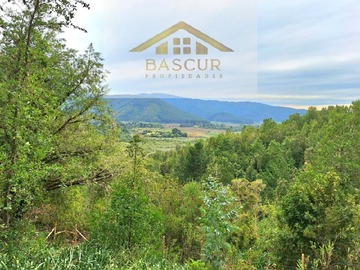 Parcela en venta en Ruta t-358, Valdivia