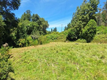 Terreno Agricola en venta en La palmilla, Nacimiento