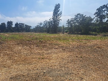 Terreno en venta en Espectacular Parcela 8.976 m², El Olivo (152723), Hijuelas