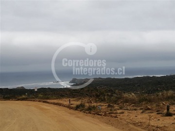 Sitio en venta en Km 190 ruta 5 norte, La Ligua