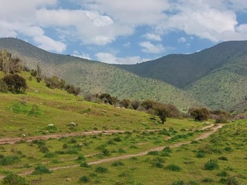 Terreno en venta en Lolenco, Curacaví