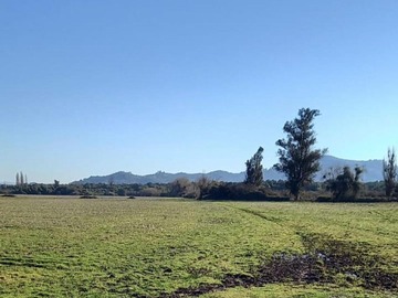 Terreno en venta en Yerbas Buenas, Yerbas Buenas