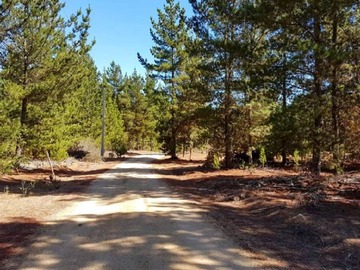 Parcela en venta en Parcelas en fundo la petrilla, Algarrobo