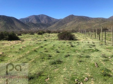 Venta / Terreno / Petorca