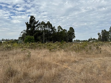 Parcela en venta en Parcela 7 alto tunquén, algarrobo, Algarrobo