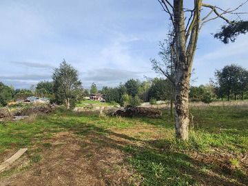 Venta / Terreno / Osorno