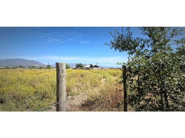 Terreno Agricola en venta en Callejon La Glorieta, ruta F50, parad.8, Quillota