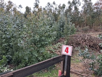Terreno en venta en Portón eléctrico, cámara seguridad,luz,agua (180115), Puchuncaví