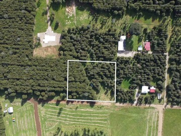 Terreno en venta en Terreno Plano con Bosque Nativo - Aysén (172857), Aysén