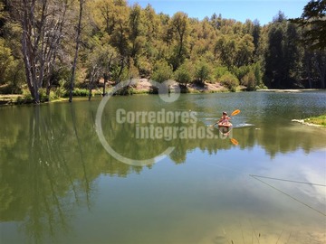 Sitio en venta en Monte Grande, Curicó