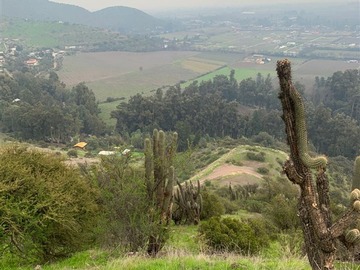 Parcela en venta en El Roto Chileno, La sillita, parcela 4, Talagante, Talagante