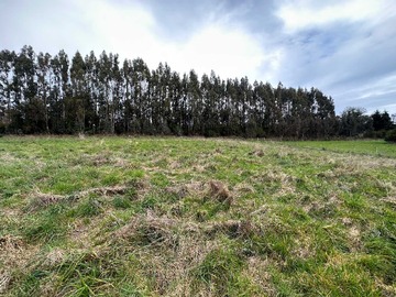 Terreno en venta en Se vende Parcela -Excelente Ubicacion- (107715), Puerto Varas