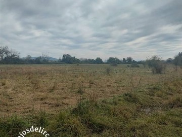 Terreno Agricola en venta en Comuna de Retiro, localidad Bureo, Retiro