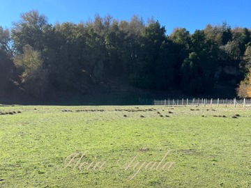 Terreno en venta en La vega, San Fabián