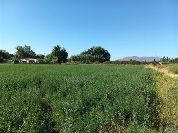 Terreno Agricola en venta en Luis Cruz Martínez / Camino El Noviciado, Pudahuel
