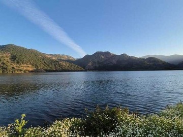 Terreno Agricola en venta en Campo subdividido en 100 lotes (92736), San Vicente de Tagua Tagua