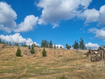 Terreno en venta en Condominio la palma/ región el maule (109864), Hualañé