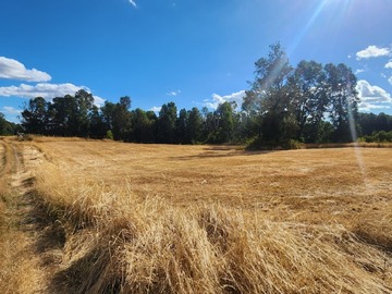 Parcela en venta en Camino a villarrica, entre ruta 5 sector loncoche y villarri, Gorbea
