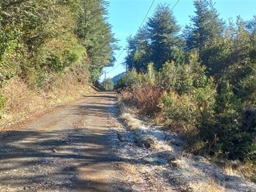 Terreno Agricola en venta en km 12 de la ruta Villarrica–Lican Ray, Villarrica