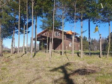 Sitio en venta en pedregoso - villarrica, Villarrica - 3 dormitorios, 2 baños