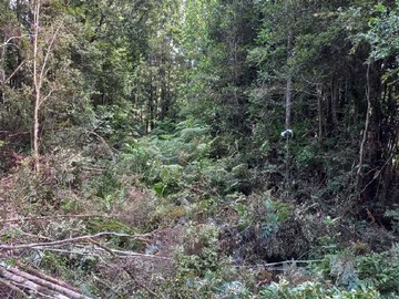 Terreno en venta en Parcela con Bosque Nativo (129215), Puerto Montt