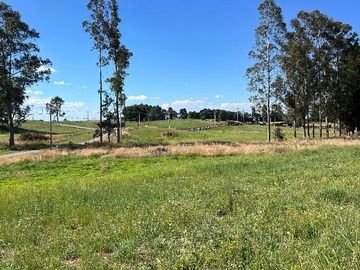Terreno en venta en Oportunidad de Inversión en Terreno Espacioso (172533), Osorno