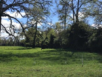 Terreno en venta en Exclusivo Proyecto // 5.000 m2 (99135), Puyehue