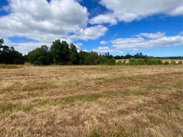 Parcela en venta en Fresia, Fresia