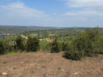 Venta / Terreno / Las Cabras