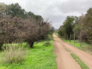 Terreno en venta en Tranquilidad y Naturaleza en Tu Refugio (151414), Papudo