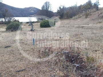 Venta / Parcela / Coyhaique