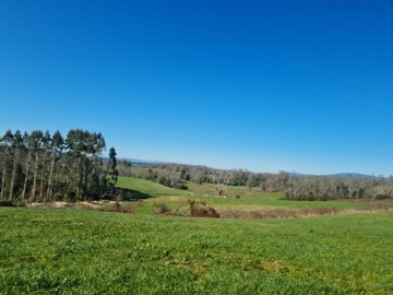 Parcela en venta en Fundo Copihual, Máfil