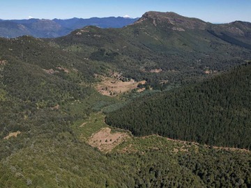 Terreno en venta en Se vende campo de 100 hectáreas en cunco (122752), Cunco