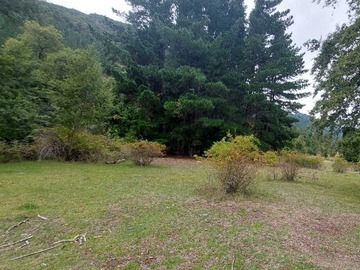 Terreno en venta en Ubicación Estratégica para Inversión Segura (161109), Melipeuco