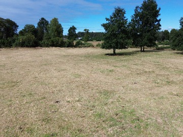 Terreno en venta en Inversión Segura en Terreno Exclusivo (172427), Puyehue