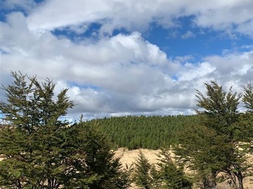 Venta / Parcela / Coyhaique