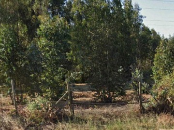 Terreno en venta en 2 Ha Agrícola al Lado de la 5 Sur en Maule (122132), Maule