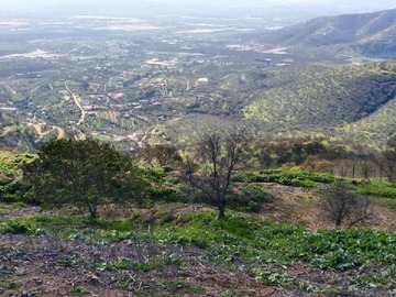 Venta / Terreno Agricola / Quillota