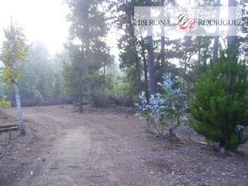 Parcela en venta en Terreno en zona productiva portuaria de Placilla, Valparaíso