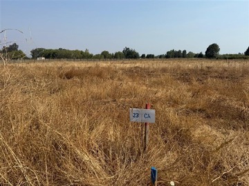Parcela en venta en Sector Pangue Arriba, San Rafael