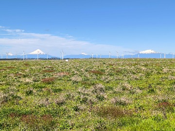 Terreno en venta en Parcela de 5334 m2 con Rol propio (153187), Llanquihue
