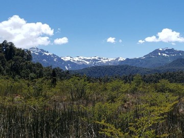 Parcela en venta en Oportunidad de inversión en parque cascadas de puyehue, Río Bueno